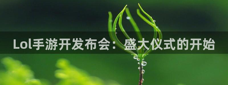 庄闲高胜率玩法：Lol手游开发布会：盛大仪式的开始