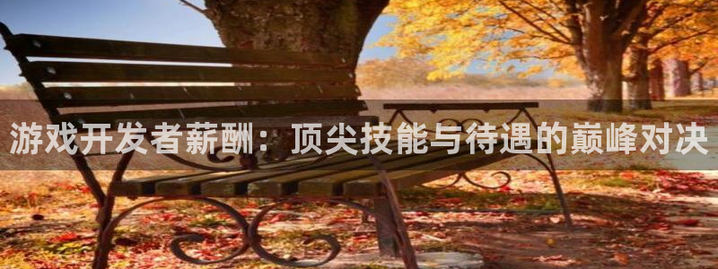 庄闲和游戏机：游戏开发者薪酬：顶尖技能与待遇的巅峰对决