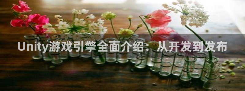 庄闲和游戏：Unity游戏引擎全面介绍：从开发到发布