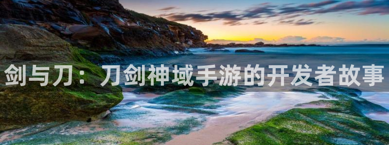 庄闲游戏论坛 55.31MB：剑与刀：刀剑神域手游的开发者故