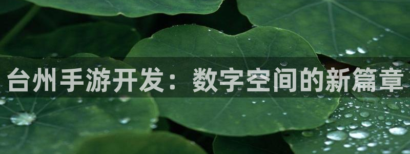 庄闲和单机游戏：台州手游开发：数字空间的新篇章