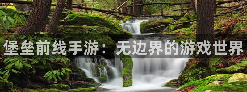 庄闲输了怎么办：堡垒前线手游：无边界的游戏世界