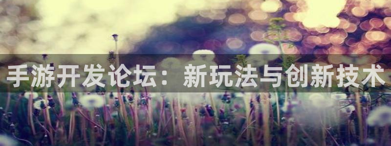 庄闲玩法和规则详解：手游开发论坛：新玩法与创新技术