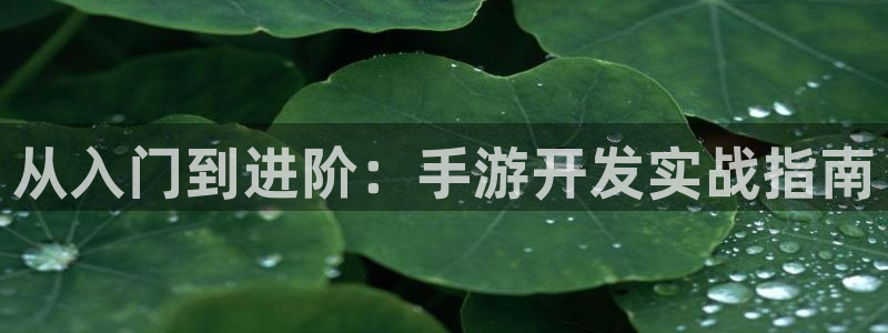 庄闲视频讲解：从入门到进阶：手游开发实战指南