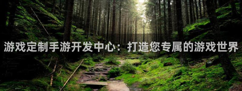 庄闲游戏名称：游戏定制手游开发中心：打造您专属的游戏世界