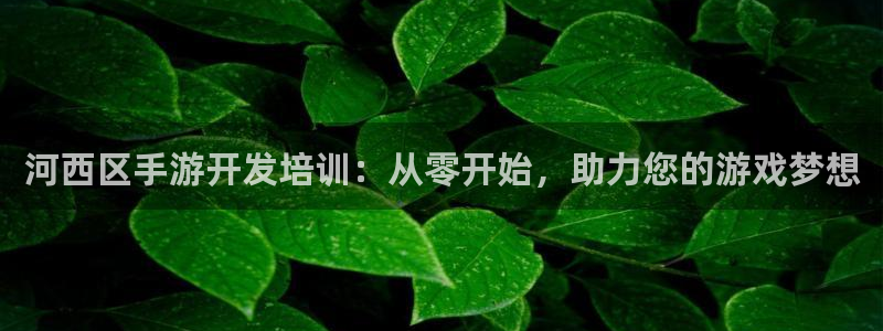 庄闲有规律吗：河西区手游开发培训：从零开始，助力您的游戏梦想