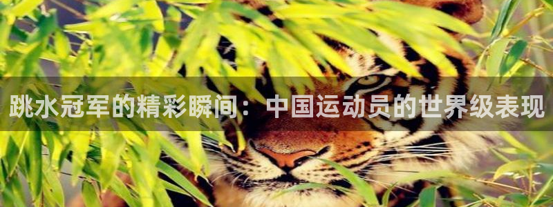 k1体育网站登录官网：跳水冠军的精彩瞬间：中国运动员的世界级表现