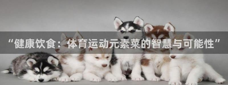 k1体育娱乐：“健康饮食：体育运动元素菜的智慧与可能性”