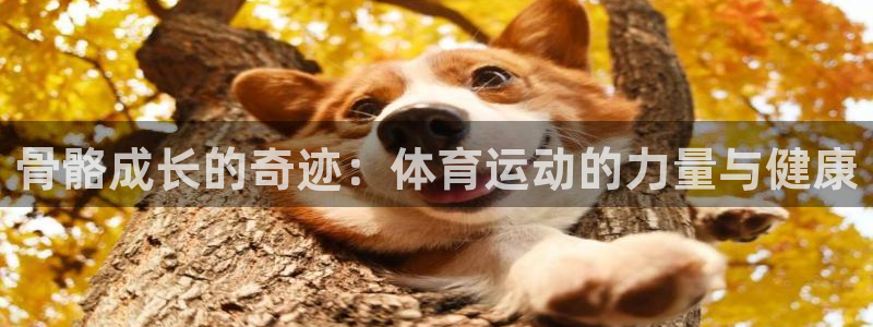 k1体育app官网登录入口