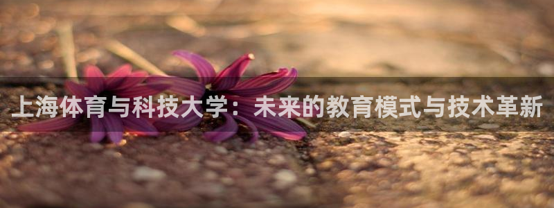 k1体育app官网登录入口