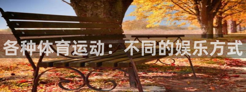 k1体育app下载链接：各种体育运动：不同的娱乐方式